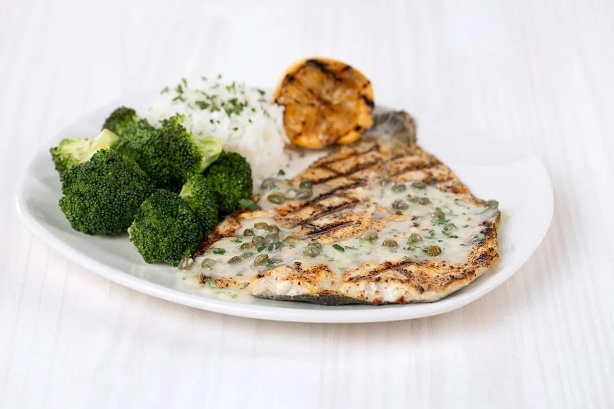 Rainbow Trout