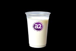 Steak 'n Shake Whole Milk